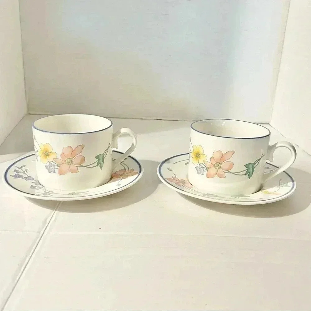 Vintage International Semi Porcelain Cup & Saucer (2 sets) Japan Gracious Floral